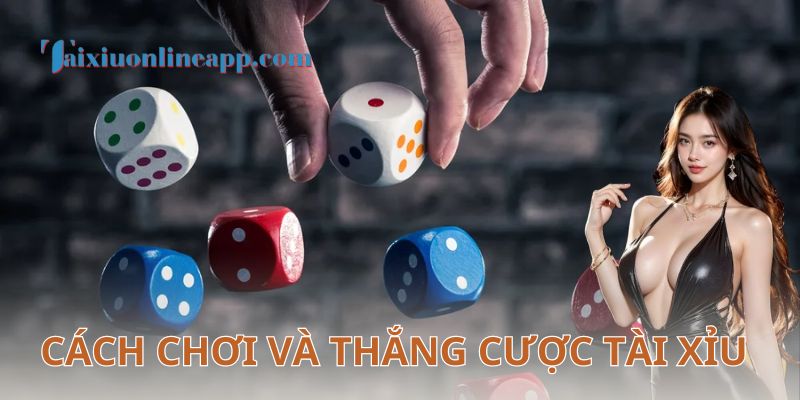 Luật chơi cơ bản và những điều cần biết