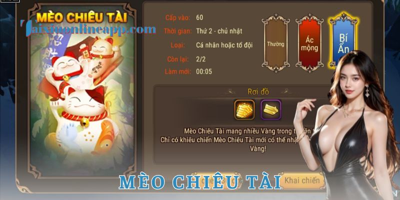 Lợi ích thực tế khi sử dụng mèo chiêu tài